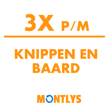 Knipbeurt met Baard 3x per mnd
